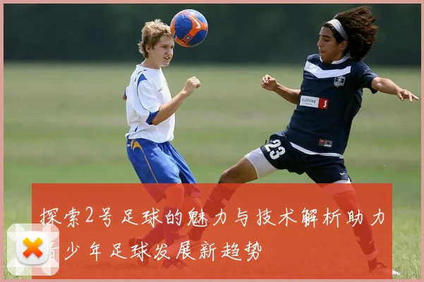 探索2号足球的魅力与技术解析助力青少年足球发展新趋势