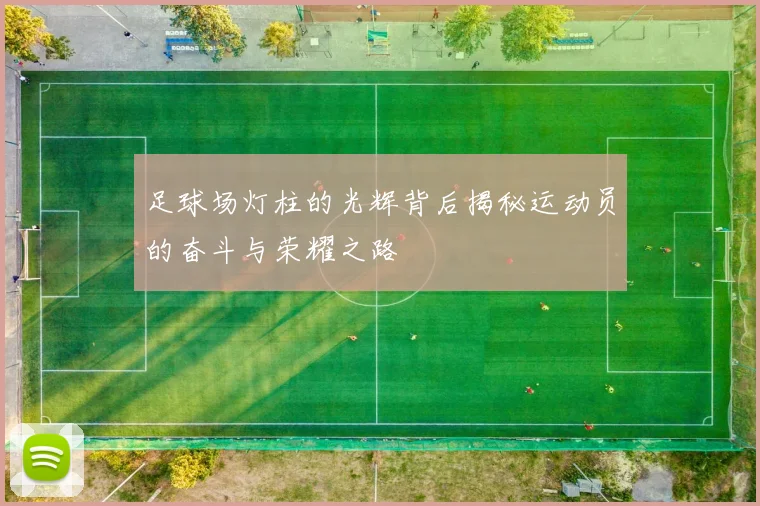 足球场灯柱的光辉背后揭秘运动员的奋斗与荣耀之路