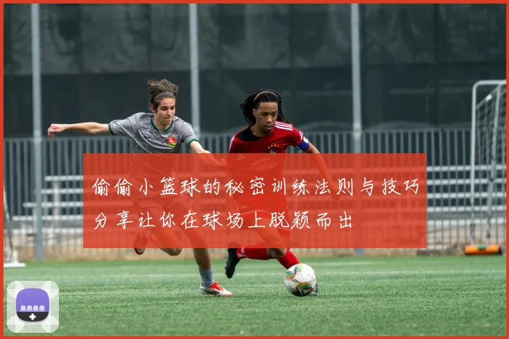 偷偷小篮球的秘密训练法则与技巧分享让你在球场上脱颖而出