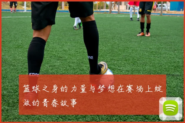 篮球之身的力量与梦想在赛场上绽放的青春故事