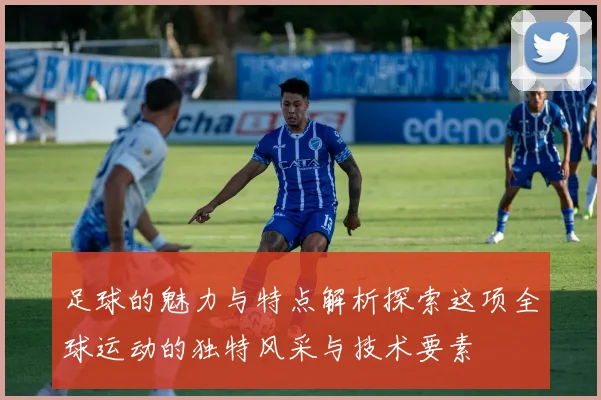 足球的魅力与特点解析探索这项全球运动的独特风采与技术要素