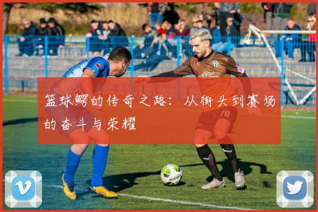 篮球鳄的传奇之路：从街头到赛场的奋斗与荣耀